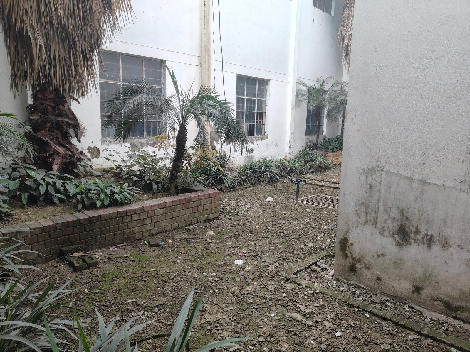 Rainwater Harvesting