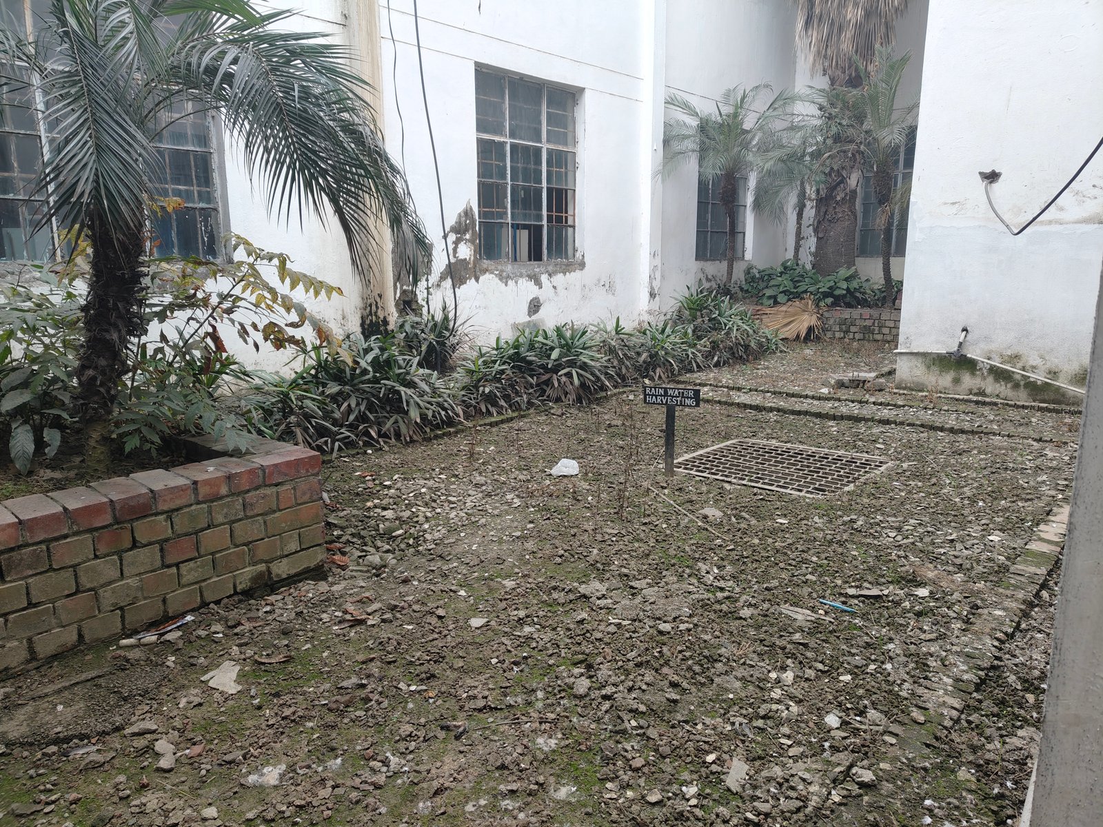 Rainwater Harvesting