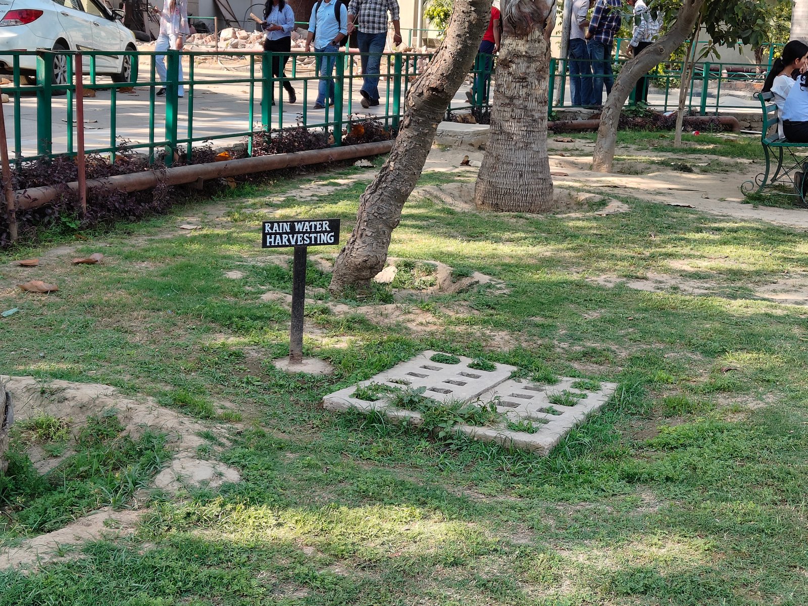 Rainwater Harvesting