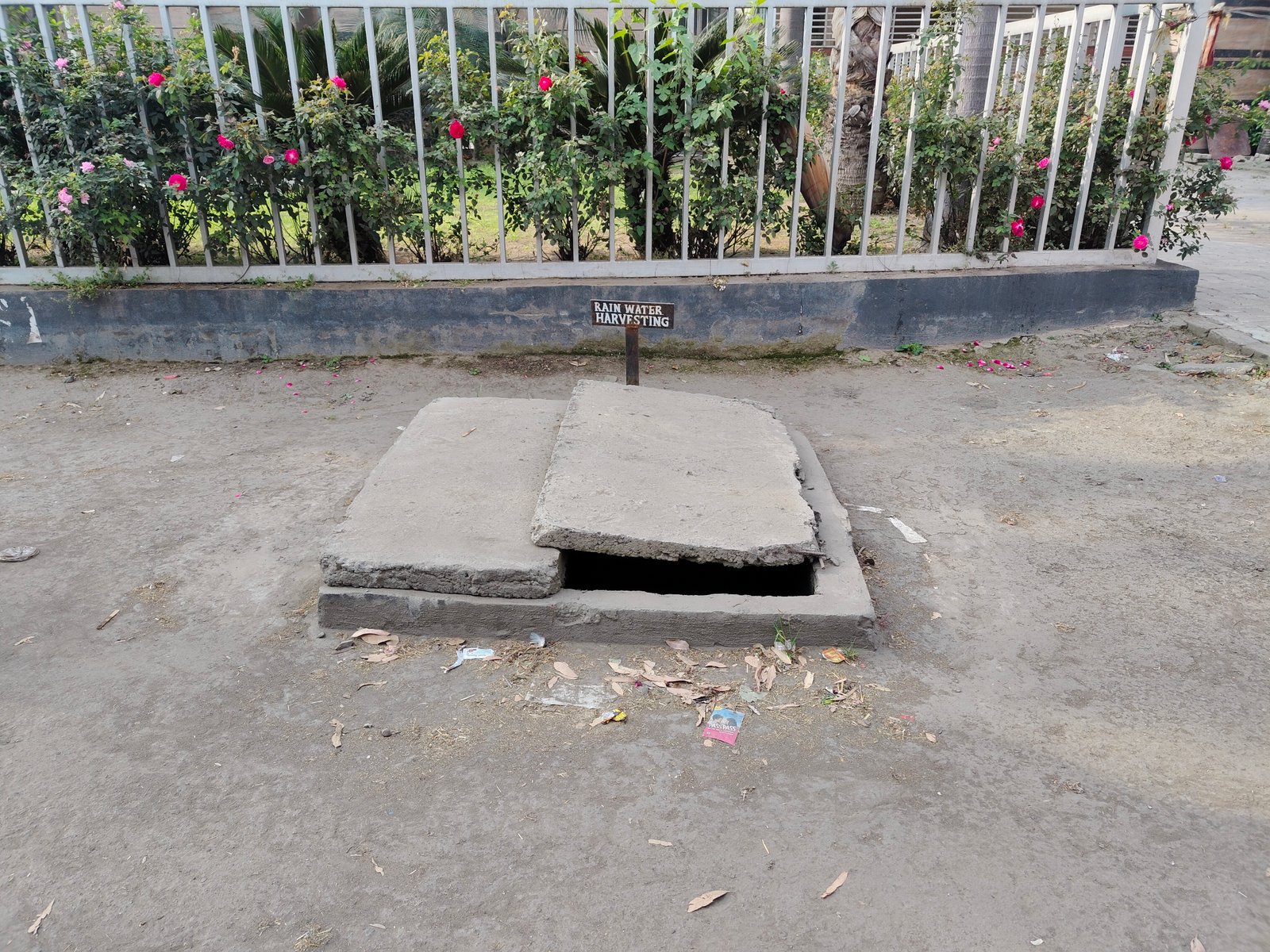 Rainwater Harvesting