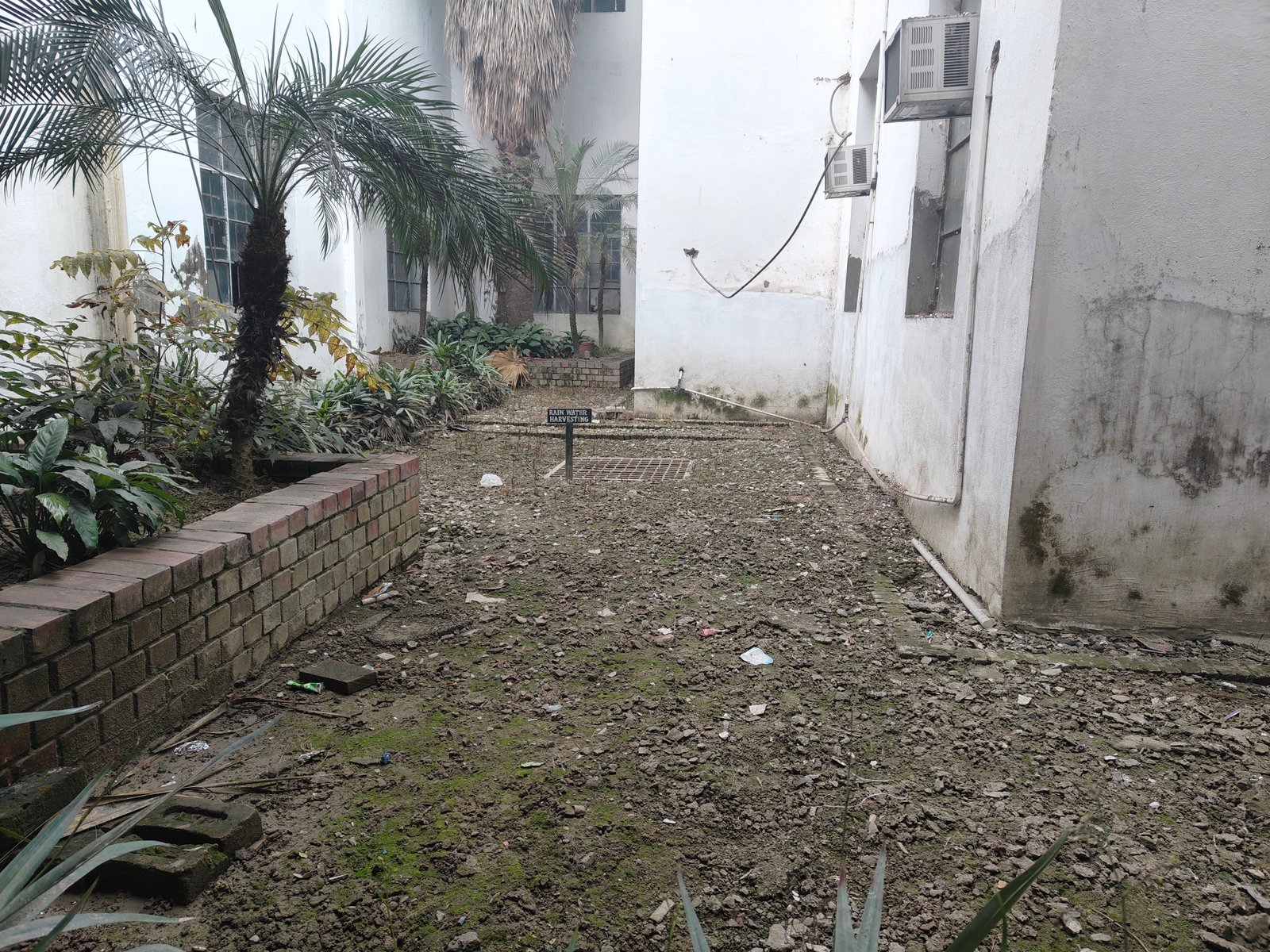 Rainwater Harvesting