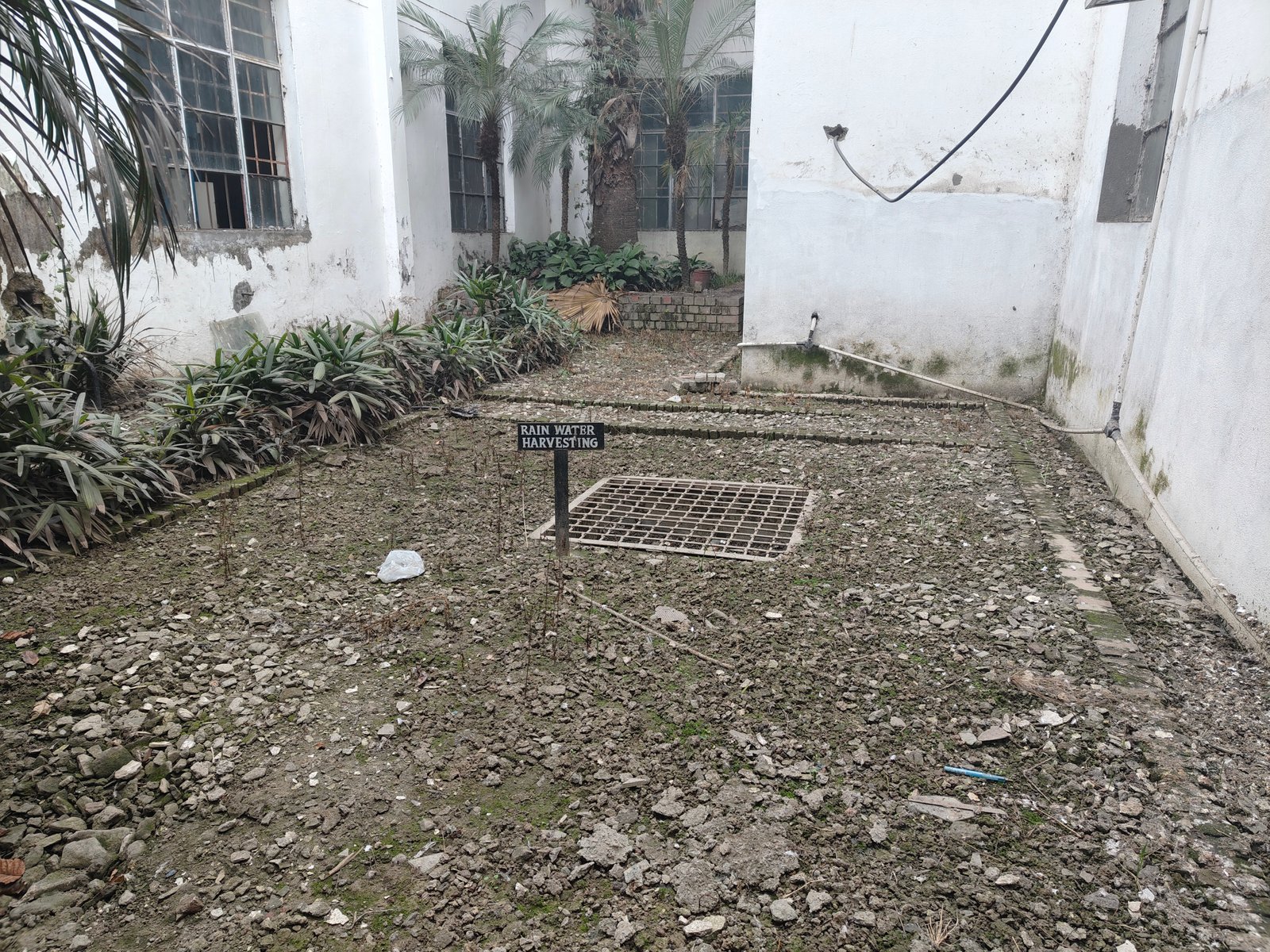 Rainwater Harvesting