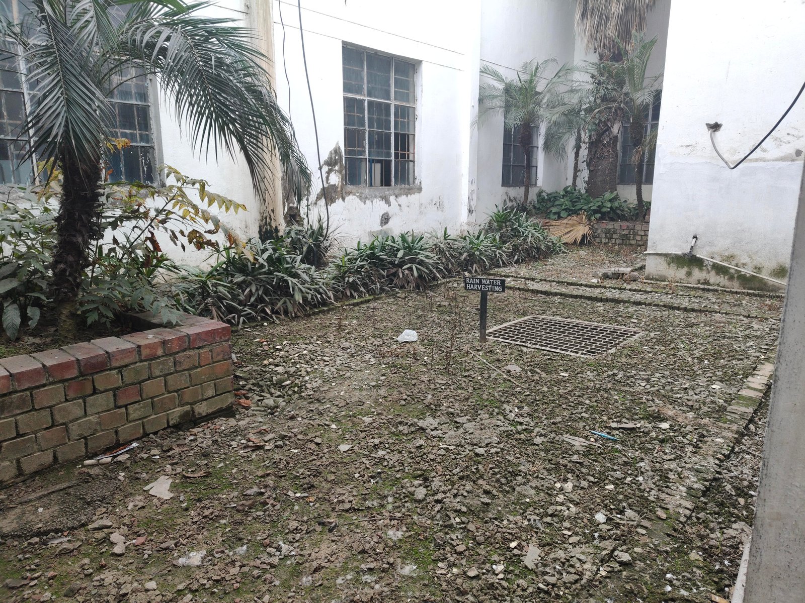 Rainwater Harvesting