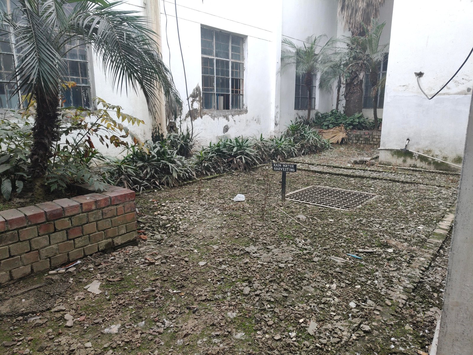 Rainwater Harvesting