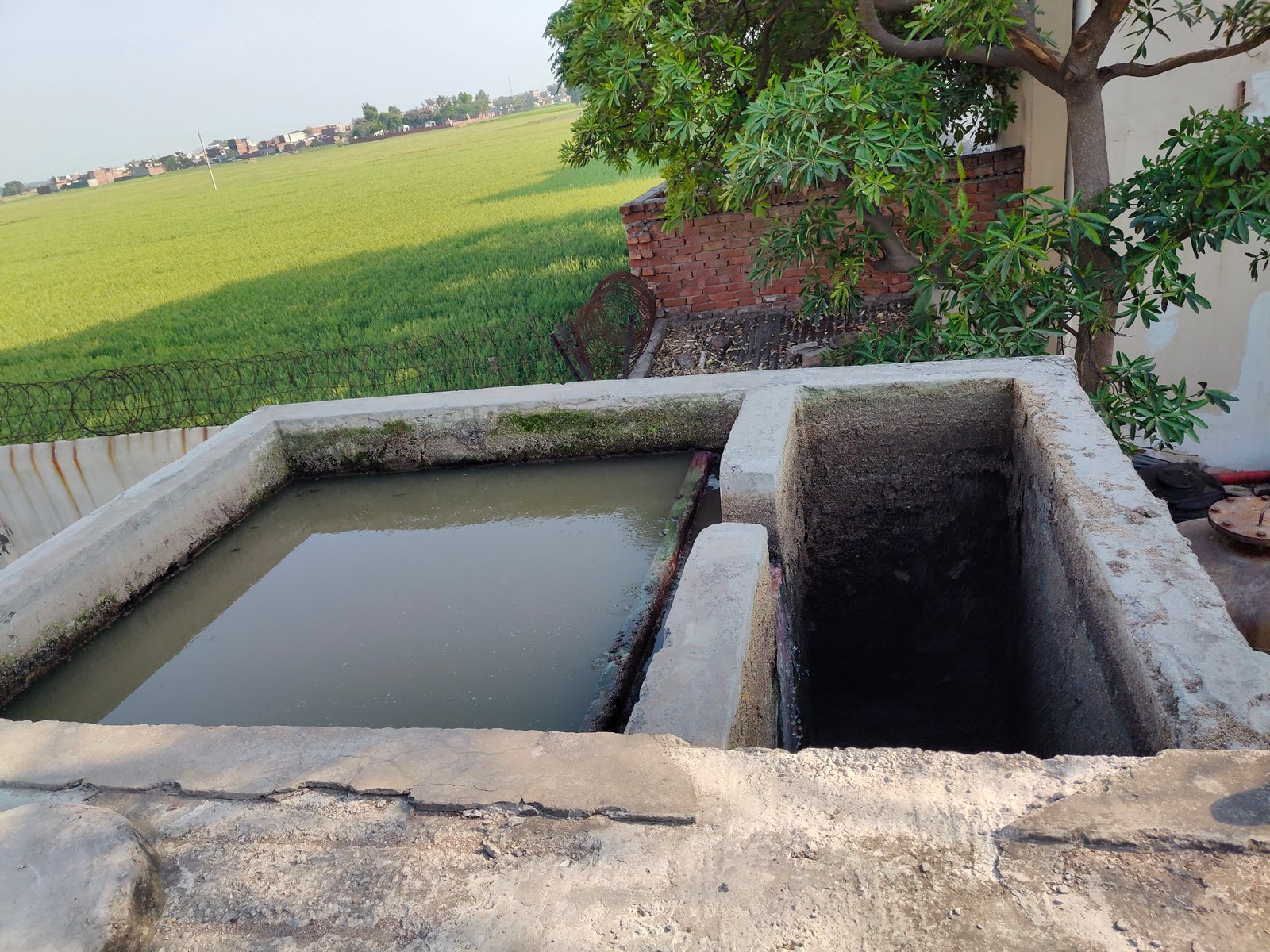 Sewage Treatment Plant (STP)